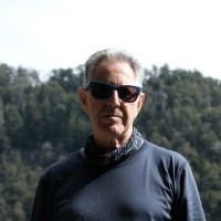 Uri Cohen