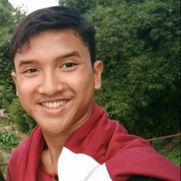 Muhammad Harry Singgih