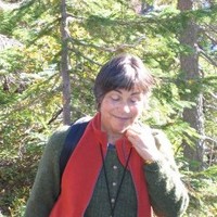 Karen Volpe