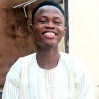 Ojo Babajide F.