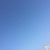 刘德孝