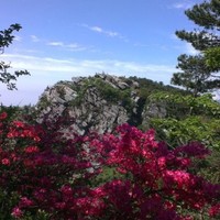 黄宇宁