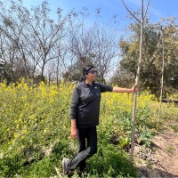 Kanchan Vasdev