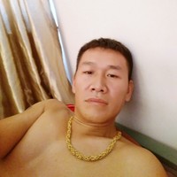 董新树
