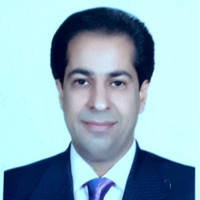 S. Hassan Dehghani