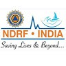 Trgcell Ndrf