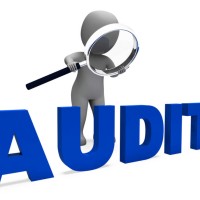 FLAudit Consulting