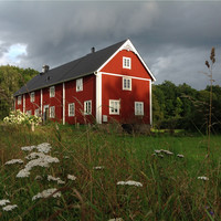 Caroline Vanderbeke OVESSON