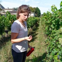 Anne-Cécile Ribas-Rozier