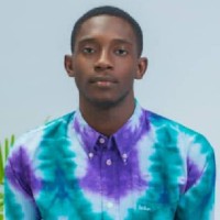 Emmanuel Faniseyi