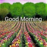 Jabeena Shaik