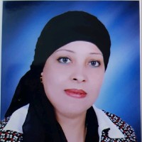 Prof Dr WAFAA M. Abd El-Rahim