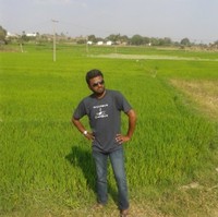 Krishna Hire