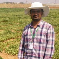 Sadaiah Kurapati
