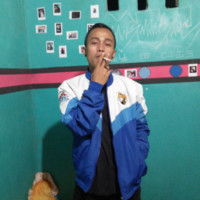 reza swandi