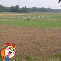 ripon khan
