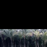 苏明松