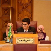 Ahmed El Ghazouly