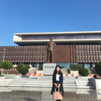 王芬Fenny新能源