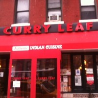 Curry Leaf