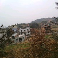 梁晓强