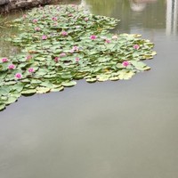 文健达