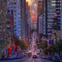 الجمل الجمل الجمل