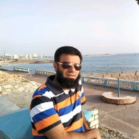 محمد عبد الحميد