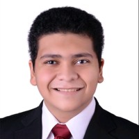 Aly Ashraf Galal