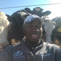 Richard Mutafela