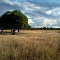 kingdom waingapu
