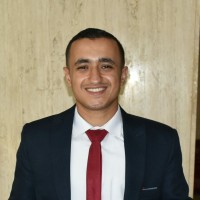 Mohamed Bahgat Kamel