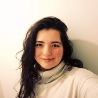 Karen Andrea Altamirano Castro