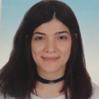 Ece Yıldırım Akgün