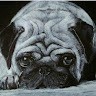 Sidhu Art Tutorials