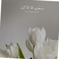Amera Abdullah