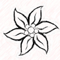 Maria del Mar Garcia Delgado