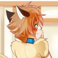 Typicalfurry Gay