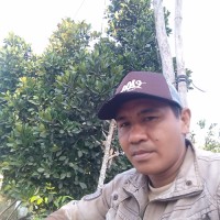 Jemmy Hendrixs