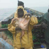 Diarra Harouna