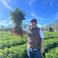 Luis Fabián Sanabria Jara