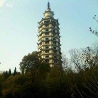 刘松阳