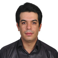 Hamid Safaraei