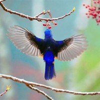 Sales-Albatross Logistis