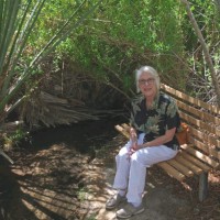 Lynne Lind