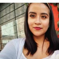 Angelica Villalobos Pérez