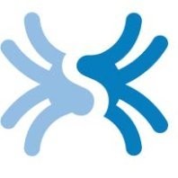 SPIN Internet Media