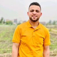 Mohamed Ibrahim