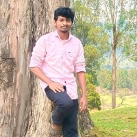 Gunaseelan P
