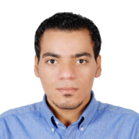 Wael Elzoghby ,Pmp®,Pmi-Rmp®,E.I.T, Fe